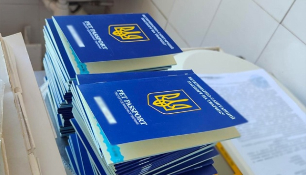 «Швидкий виїзд» тварин за кордон: у Києві викрили масштабну схему поборів у ветлікарнях