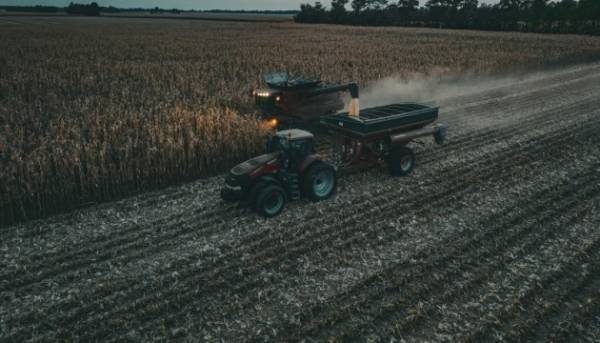 Зерно з окупації: ребрендинг під РФ та Білорусь 35