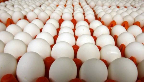 Яєчний експорт з України в лютому зменшився. 2