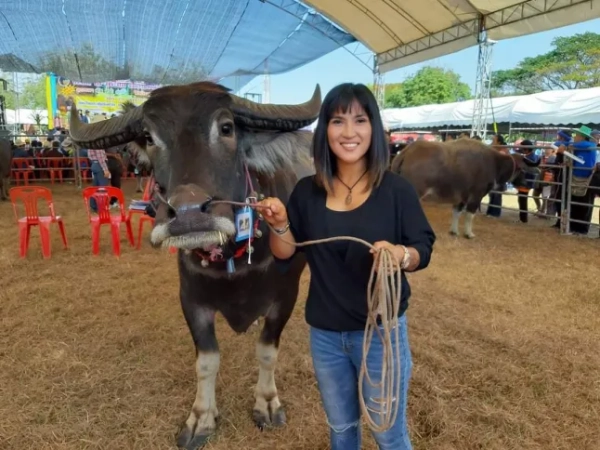 Сьогодні поліція розшукує британського чоловіка, звинуваченого у застреленні своєї тайської дружини та втечі. 56-річний Ентоні Джеймс Кондрон з Вітхема, графство Ессекс, нібито вбив 43-річну Паттані Урапаном (НА ФОТО) з 9-мм пістолета, перш ніж втекти з місця події. Шоковані офіцери знайшли її тіло на фермі Джанпаном у Маха Саракхамі, Таїланд, сьогодні вранці об 11:00. Повідомляється, що її тіло лежало обличчям догори на мотоциклі. На ній був білий топ і штани, у неї було вогнепальне поранення голови: куля увійшла в ліву скроню та вийшла з правого боку. Офіцери районної дільниці Дон Ван вважають, що Кондрон вистрілив у свою дружину, коли вона ще сиділа в транспортному засобі. МАТЕРІАЛИ: Відео, фото, текст