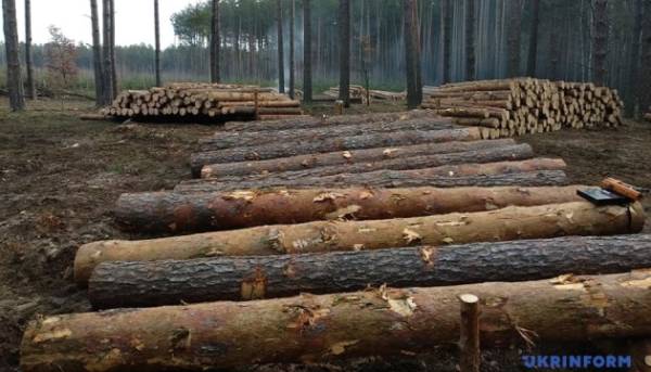 Лісозаготівлі в Росії: Річне падіння на 10% (Дані розвідки) 2